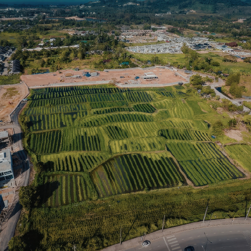 Geçit Hakkı Nedir? Geçit Hakkı Davası Nasıl Açılır?